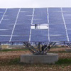 Photon Solar Power Plants